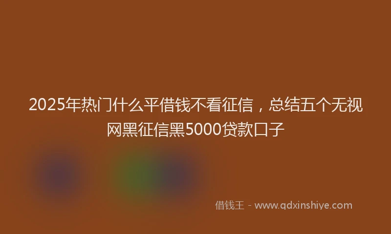 2025年热门什么平借钱不看征信，总结五个无视网黑征信黑5000贷款口子
