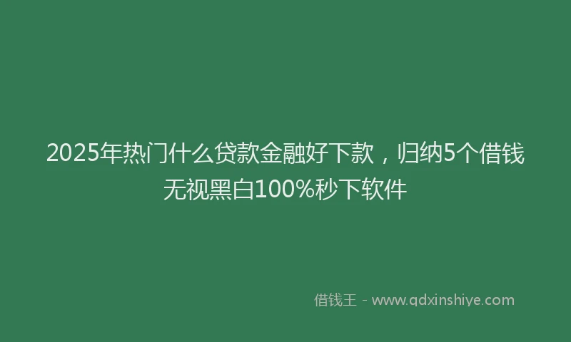2025年热门什么贷款金融好下款，归纳5个借钱无视黑白100%秒下软件