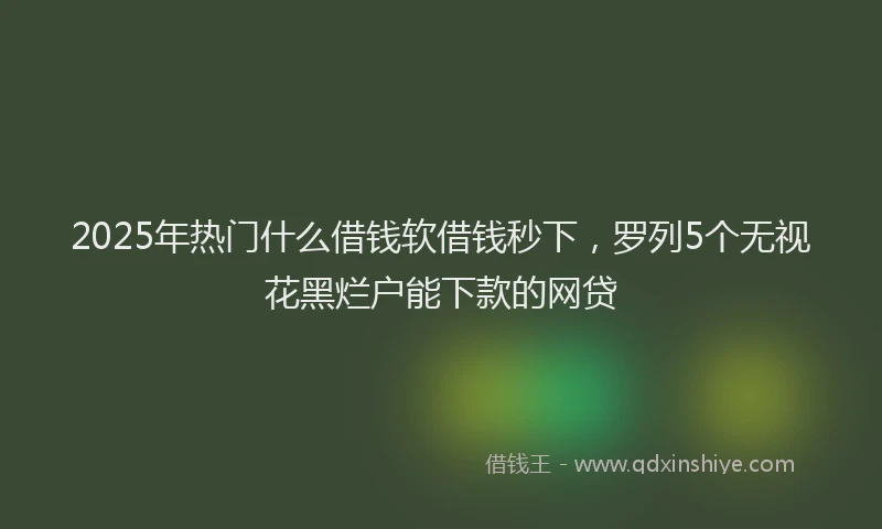 2025年热门什么借钱软借钱秒下，罗列5个无视花黑烂户能下款的网贷
