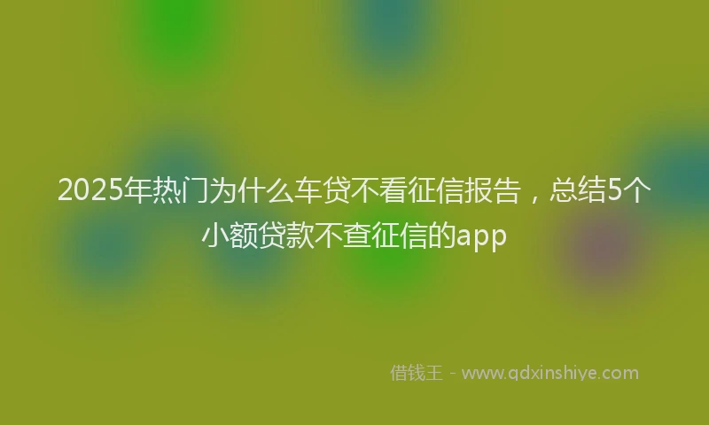 2025年热门为什么车贷不看征信报告，总结5个小额贷款不查征信的app