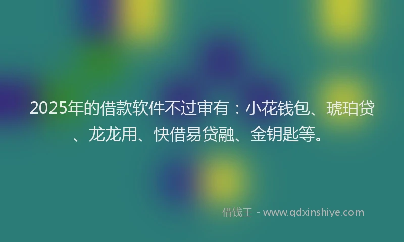 2025年的借款软件不过审有：小花钱包、琥珀贷、龙龙用、快借易贷融、金钥匙等。