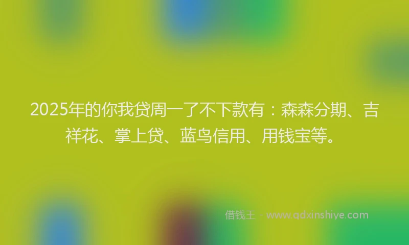 2025年的你我贷周一了不下款有：森森分期、吉祥花、掌上贷、蓝鸟信用、用钱宝等。