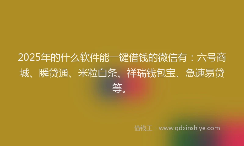 2025年的什么软件能一键借钱的微信有：六号商城、瞬贷通、米粒白条、祥瑞钱包宝、急速易贷等。