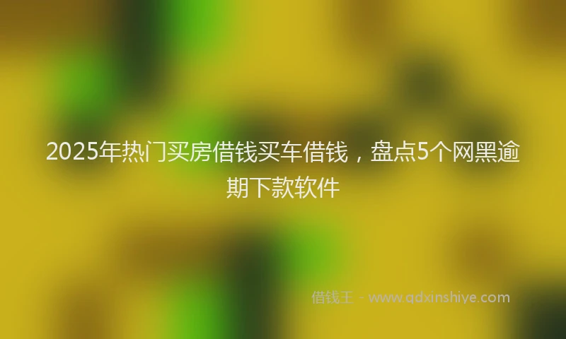2025年热门买房借钱买车借钱，盘点5个网黑逾期下款软件