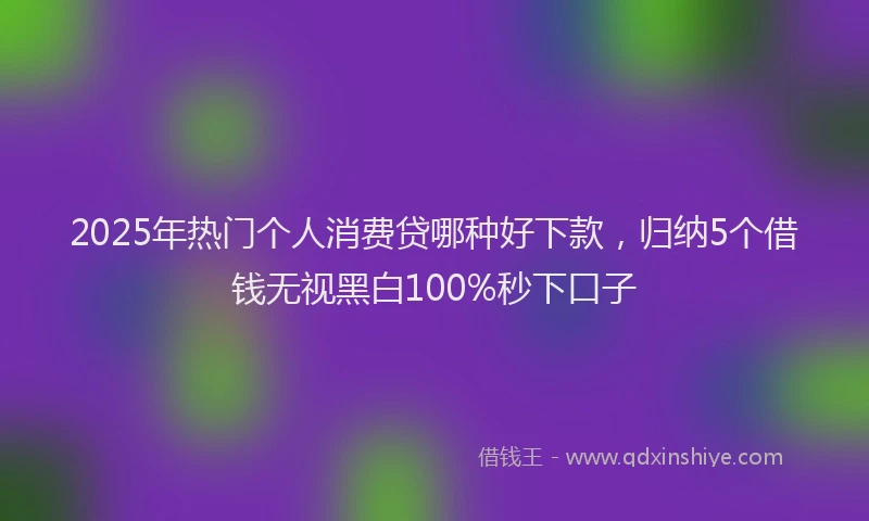 2025年热门个人消费贷哪种好下款，归纳5个借钱无视黑白100%秒下口子