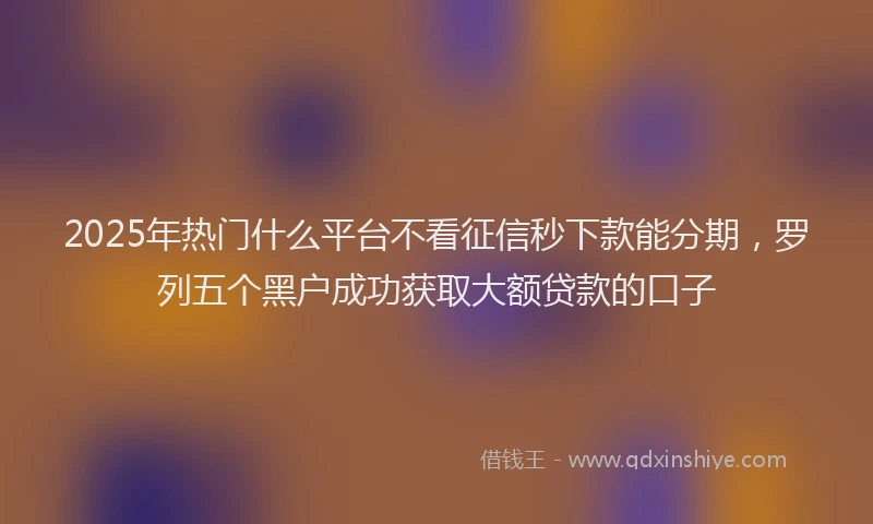 2025年热门什么平台不看征信秒下款能分期，罗列五个黑户成功获取大额贷款的口子