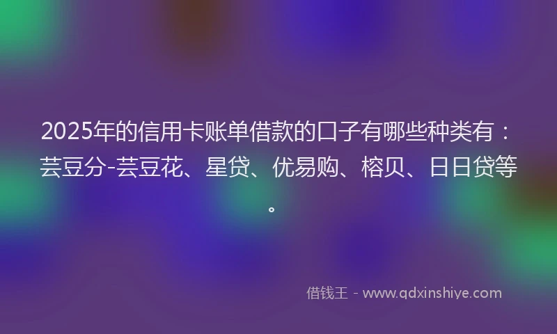 2025年的信用卡账单借款的口子有哪些种类有：芸豆分-芸豆花、星贷、优易购、榕贝、日日贷等。