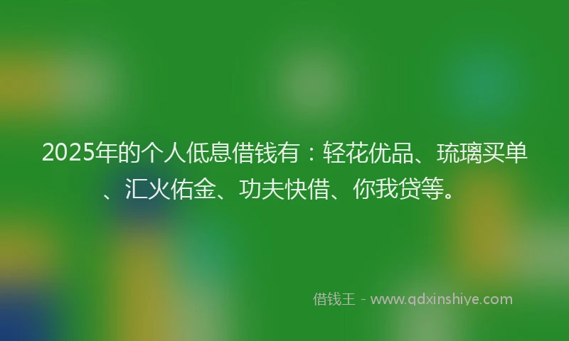 2025年的个人低息借钱有：轻花优品、琉璃买单、汇火佑金、功夫快借、你我贷等。