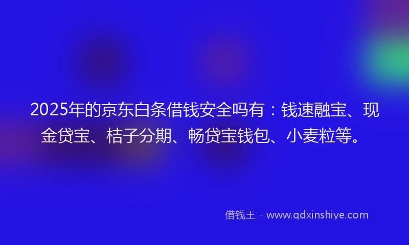 2025年的京东白条借钱安全吗有：钱速融宝、现金贷宝、桔子分期、畅贷宝钱包、小麦粒等。