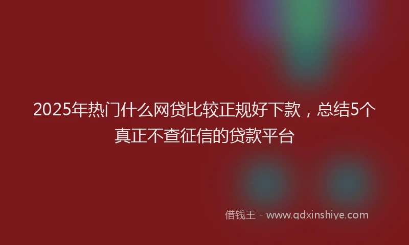 2025年热门什么网贷比较正规好下款，总结5个真正不查征信的贷款平台