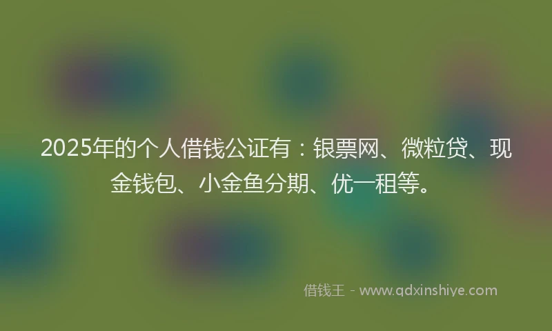 2025年的个人借钱公证有：银票网、微粒贷、现金钱包、小金鱼分期、优一租等。