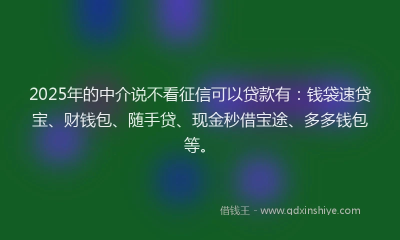 2025年的中介说不看征信可以贷款有：钱袋速贷宝、财钱包、随手贷、现金秒借宝途、多多钱包等。