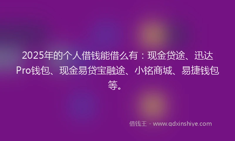 2025年的个人借钱能借么有：现金贷途、迅达Pro钱包、现金易贷宝融途、小铭商城、易捷钱包等。