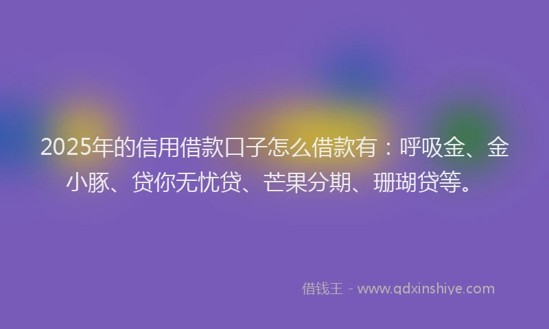 2025年的信用借款口子怎么借款有：呼吸金、金小豚、贷你无忧贷、芒果分期、珊瑚贷等。