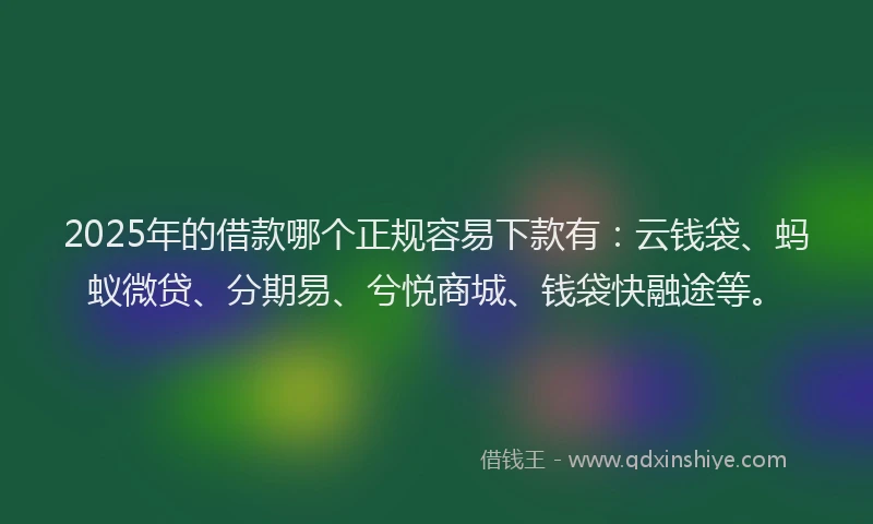 2025年的借款哪个正规容易下款有：云钱袋、蚂蚁微贷、分期易、兮悦商城、钱袋快融途等。