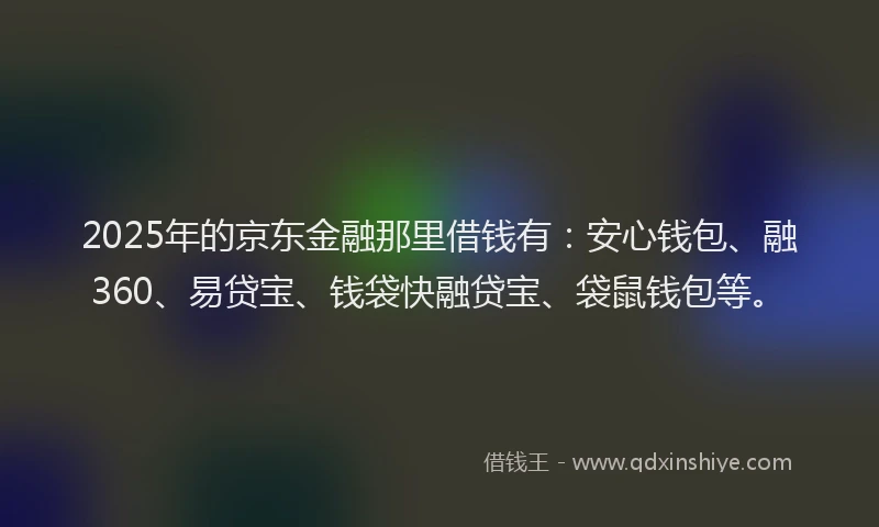 2025年的京东金融那里借钱有：安心钱包、融360、易贷宝、钱袋快融贷宝、袋鼠钱包等。
