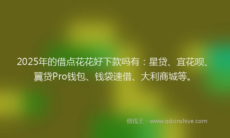 2025年的借点花花好下款吗有：星贷、宜花呗、翼贷Pro钱包、钱袋速借、大利商城等。