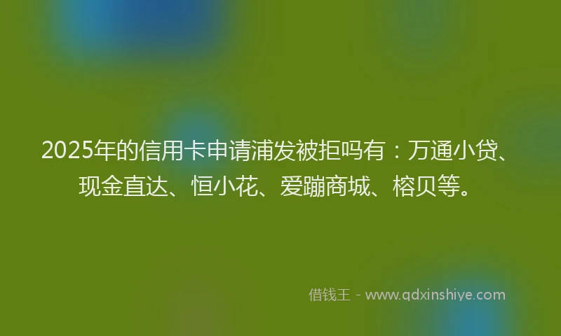 2025年的信用卡申请浦发被拒吗有：万通小贷、现金直达、恒小花、爱蹦商城、榕贝等。