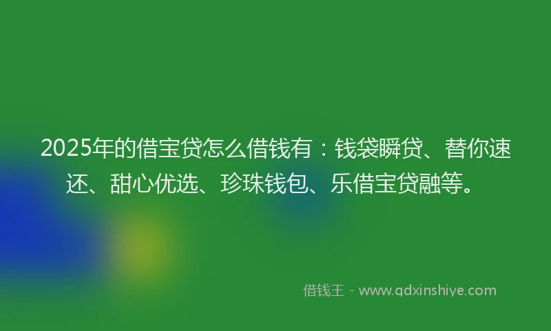 2025年的借宝贷怎么借钱有：钱袋瞬贷、替你速还、甜心优选、珍珠钱包、乐借宝贷融等。