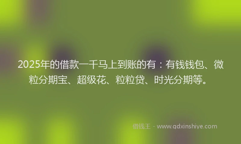 2025年的借款一千马上到账的有：有钱钱包、微粒分期宝、超级花、粒粒贷、时光分期等。