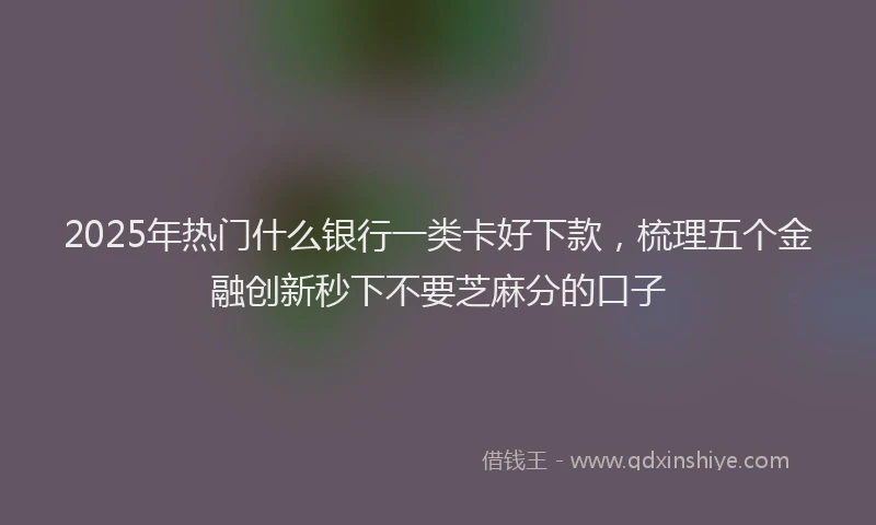 2025年热门什么银行一类卡好下款，梳理五个金融创新秒下不要芝麻分的口子