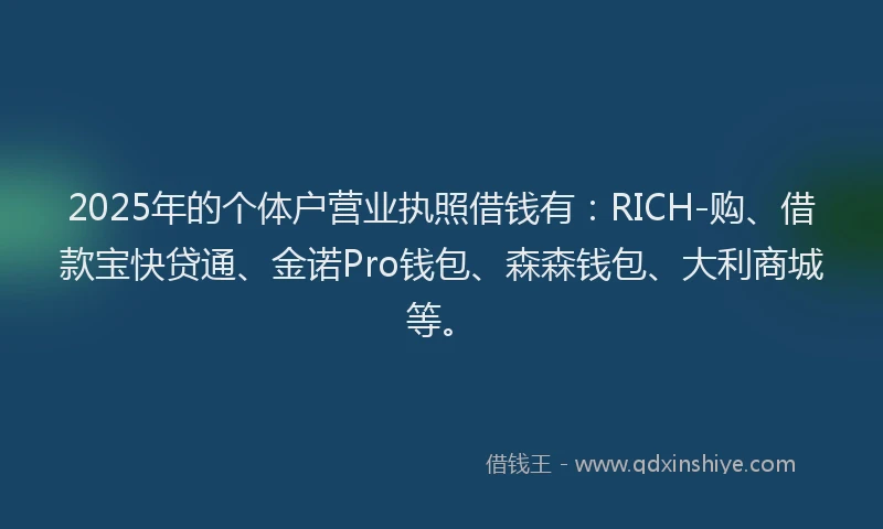 2025年的个体户营业执照借钱有：RICH-购、借款宝快贷通、金诺Pro钱包、森森钱包、大利商城等。