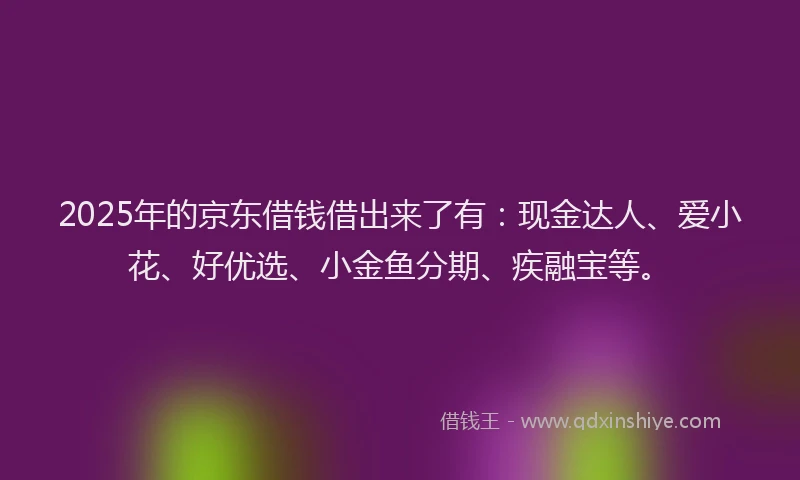 2025年的京东借钱借出来了有：现金达人、爱小花、好优选、小金鱼分期、疾融宝等。