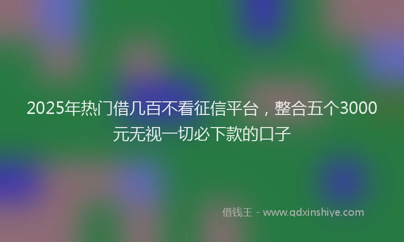 2025年热门借几百不看征信平台，整合五个3000元无视一切必下款的口子