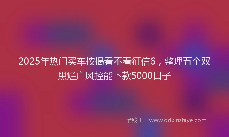 2025年热门买车按揭看不看征信6，整理五个双黑烂户风控能下款5000口子