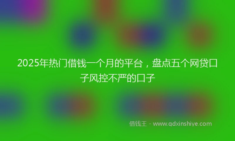 2025年热门借钱一个月的平台，盘点五个网贷口子风控不严的口子