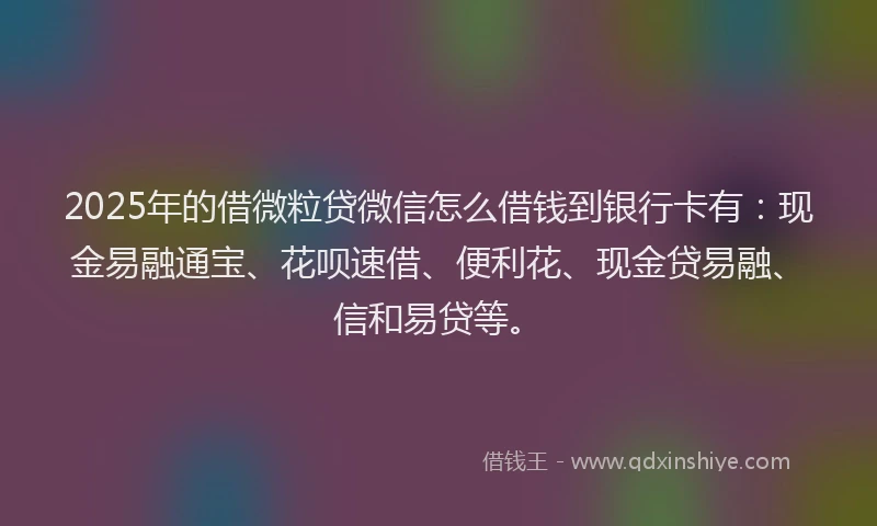 2025年的借微粒贷微信怎么借钱到银行卡有：现金易融通宝、花呗速借、便利花、现金贷易融、信和易贷等。