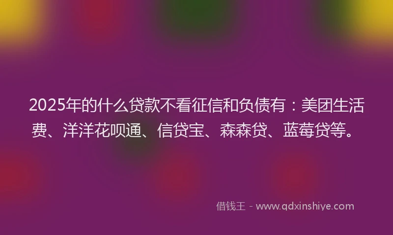 2025年的什么贷款不看征信和负债有：美团生活费、洋洋花呗通、信贷宝、森森贷、蓝莓贷等。