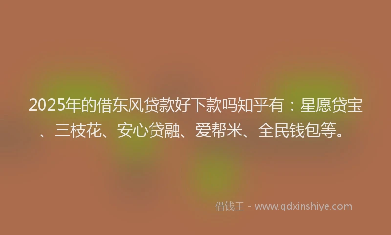 2025年的借东风贷款好下款吗知乎有：星愿贷宝、三枝花、安心贷融、爱帮米、全民钱包等。