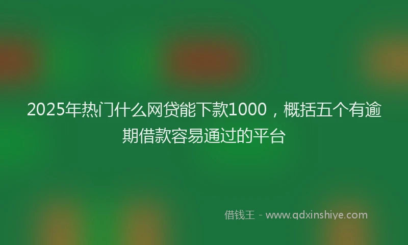2025年热门什么网贷能下款1000，概括五个有逾期借款容易通过的平台