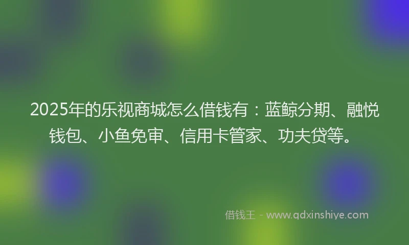 2025年的乐视商城怎么借钱有：蓝鲸分期、融悦钱包、小鱼免审、信用卡管家、功夫贷等。