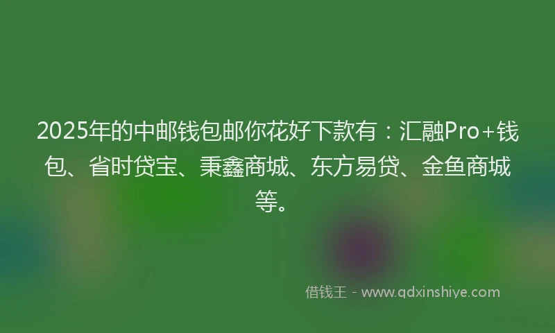 2025年的中邮钱包邮你花好下款有：汇融Pro+钱包、省时贷宝、秉鑫商城、东方易贷、金鱼商城等。