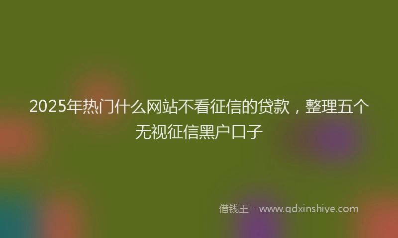 2025年热门什么网站不看征信的贷款，整理五个无视征信黑户口子
