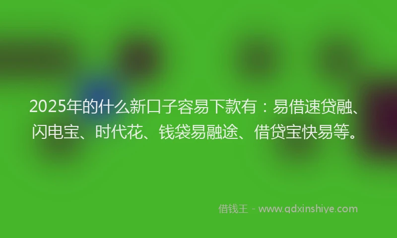 2025年的什么新口子容易下款有：易借速贷融、闪电宝、时代花、钱袋易融途、借贷宝快易等。