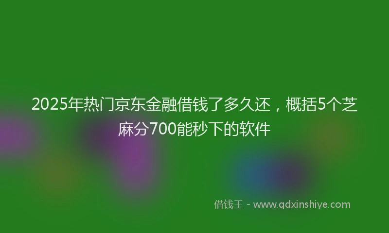 2025年热门京东金融借钱了多久还，概括5个芝麻分700能秒下的软件