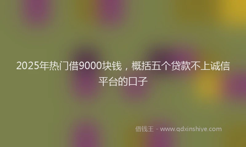 2025年热门借9000块钱，概括五个贷款不上诚信平台的口子