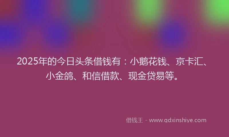 2025年的今日头条借钱有：小鹅花钱、京卡汇、小金鸽、和信借款、现金贷易等。