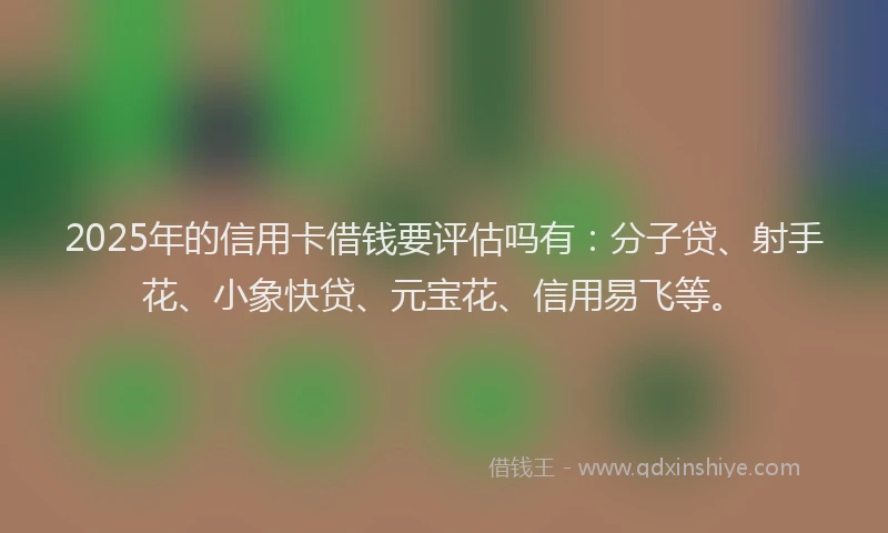 2025年的信用卡借钱要评估吗有：分子贷、射手花、小象快贷、元宝花、信用易飞等。