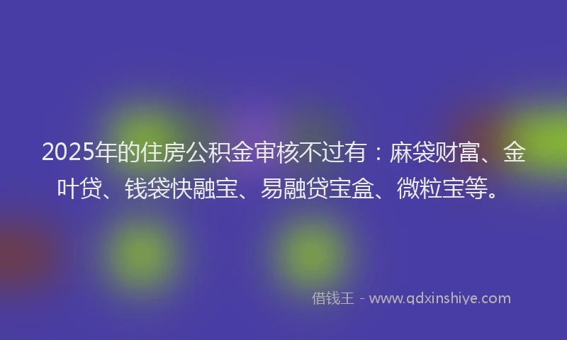 2025年的住房公积金审核不过有：麻袋财富、金叶贷、钱袋快融宝、易融贷宝盒、微粒宝等。