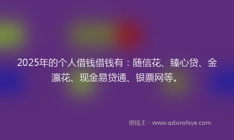 2025年的个人借钱借钱有：随信花、臻心贷、金瀛花、现金易贷通、银票网等。
