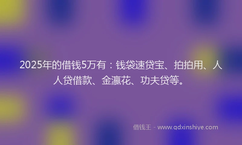 2025年的借钱5万有：钱袋速贷宝、拍拍用、人人贷借款、金瀛花、功夫贷等。