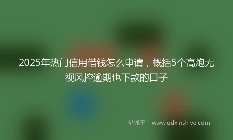 2025年热门信用借钱怎么申请，概括5个高炮无视风控逾期也下款的口子