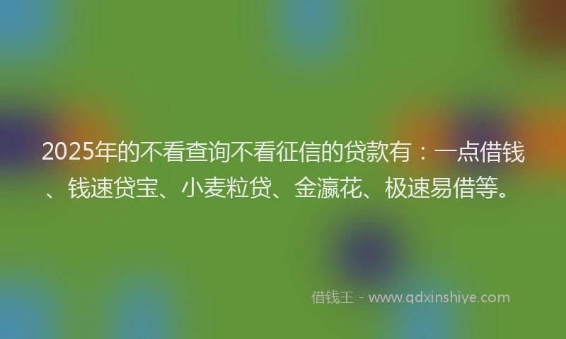 2025年的不看查询不看征信的贷款有：一点借钱、钱速贷宝、小麦粒贷、金瀛花、极速易借等。