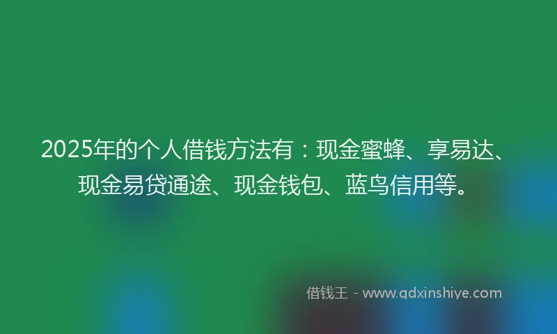 2025年的个人借钱方法有：现金蜜蜂、享易达、现金易贷通途、现金钱包、蓝鸟信用等。