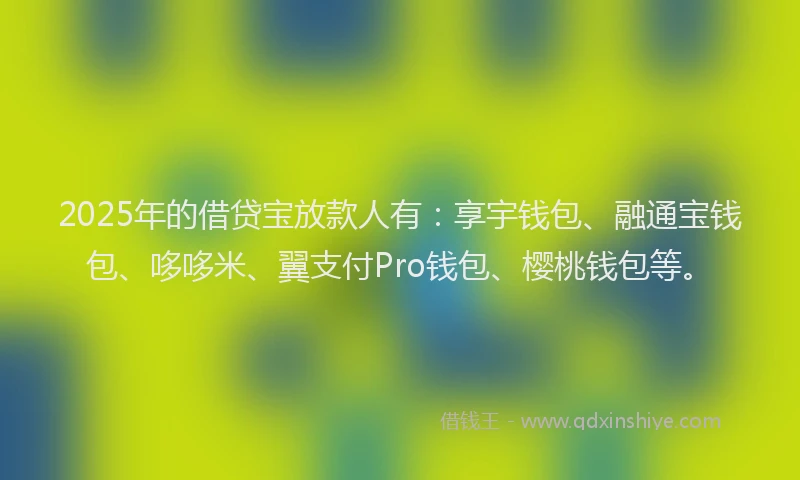 2025年的借贷宝放款人有：享宇钱包、融通宝钱包、哆哆米、翼支付Pro钱包、樱桃钱包等。