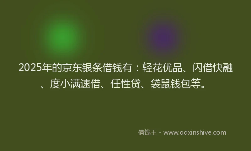 2025年的京东银条借钱有：轻花优品、闪借快融、度小满速借、任性贷、袋鼠钱包等。